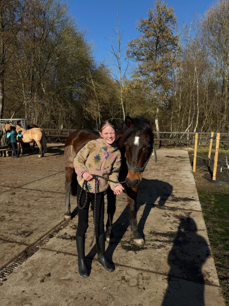 Pony’s worden kleiner als je ze vaker borstelt